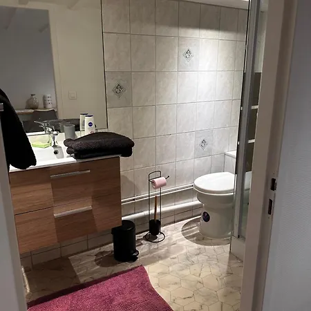 Apartment Au Coeur De Vichy