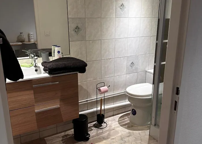 Appartement Au Coeur De Vichy