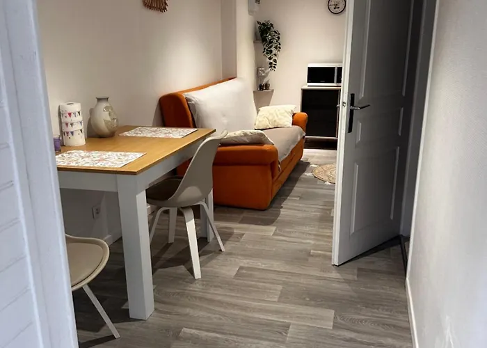 Appartement Au Coeur De Vichy